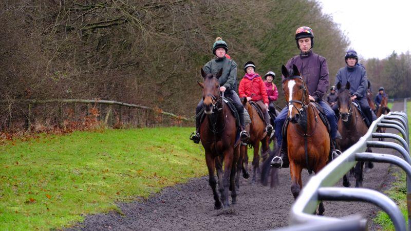 Boolavard King leading the string back down the gallop