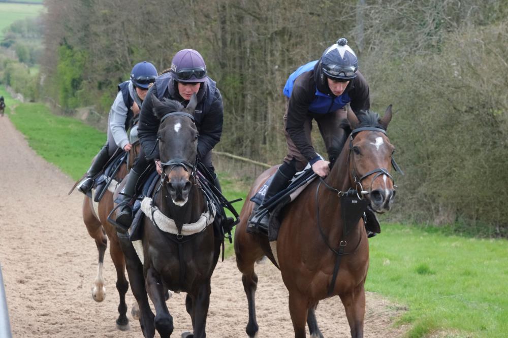 Thruthelookinglass and Sayadam with Pay The Pilot in behind