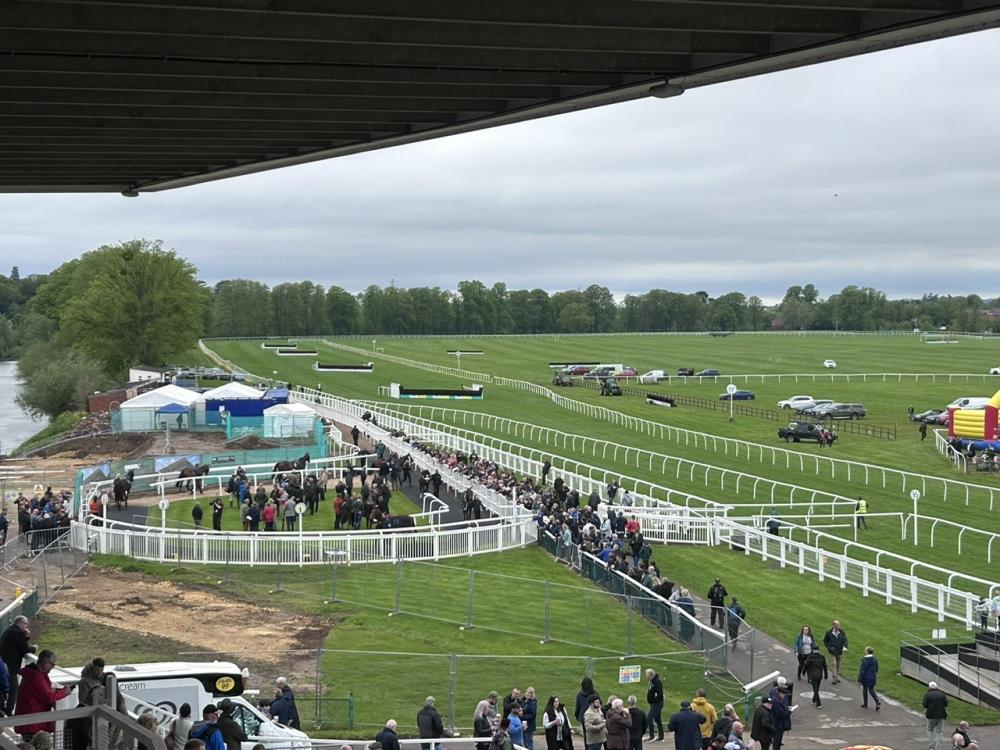 The reduced parade ring at Worcester.