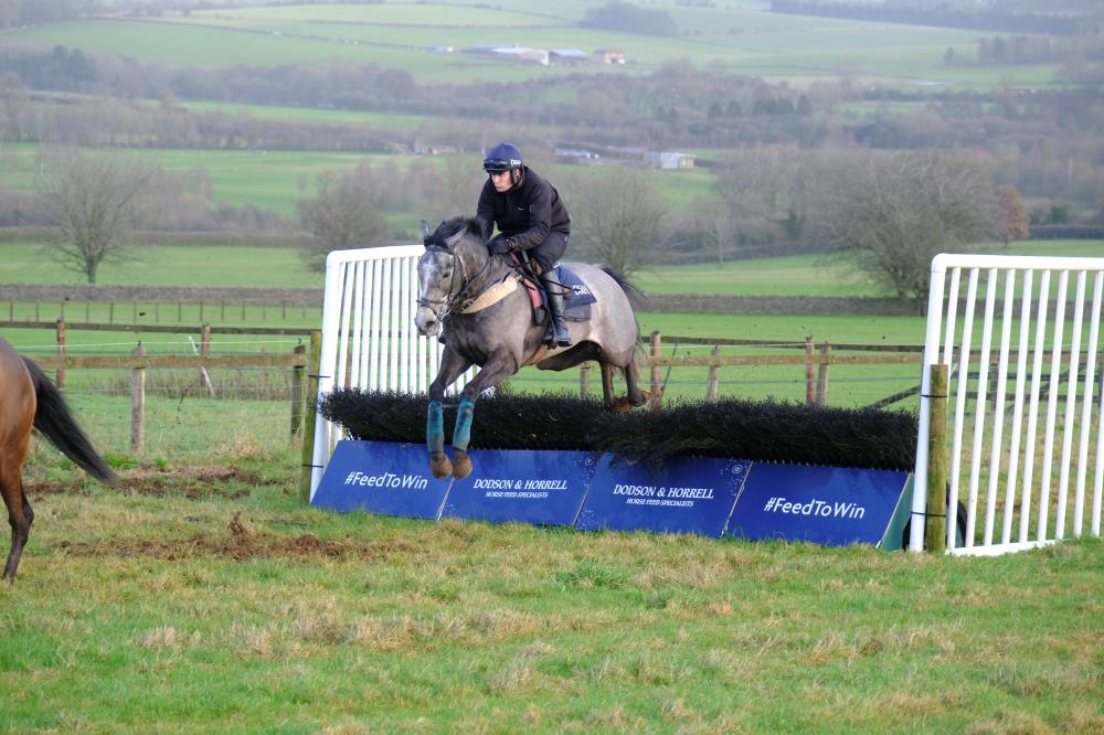 Artic Saint jumping at home with Ed Cookson.