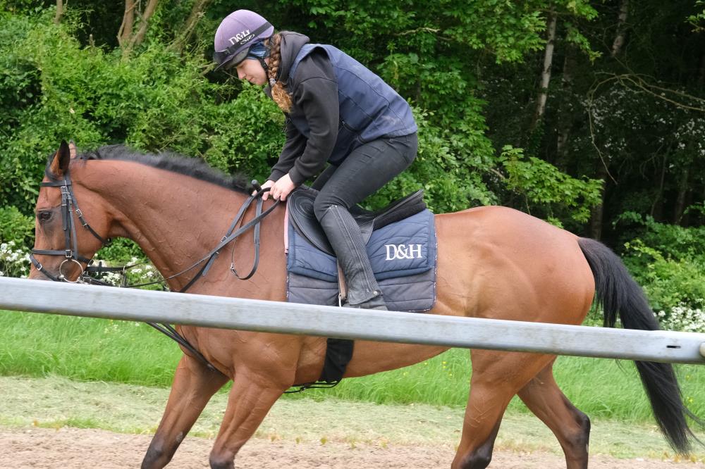 Kate on Ajero.. 3 weeks today.. Royal Ascot..