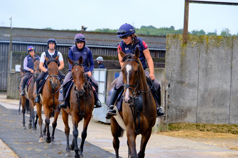 Destroytheevidence leading first lot off round the farm