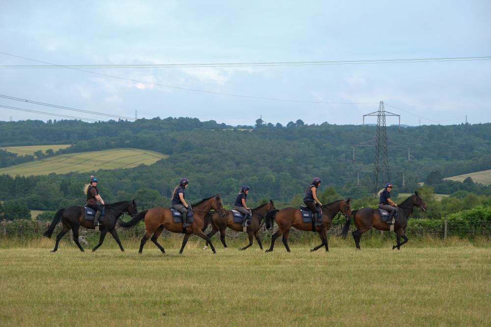 Heros de Romay leading The Jack Hobbs Gelding, Destroythevidence, Behind The Veil and Party Fuzz