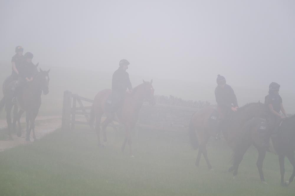 Wet and misty first lot this morning..