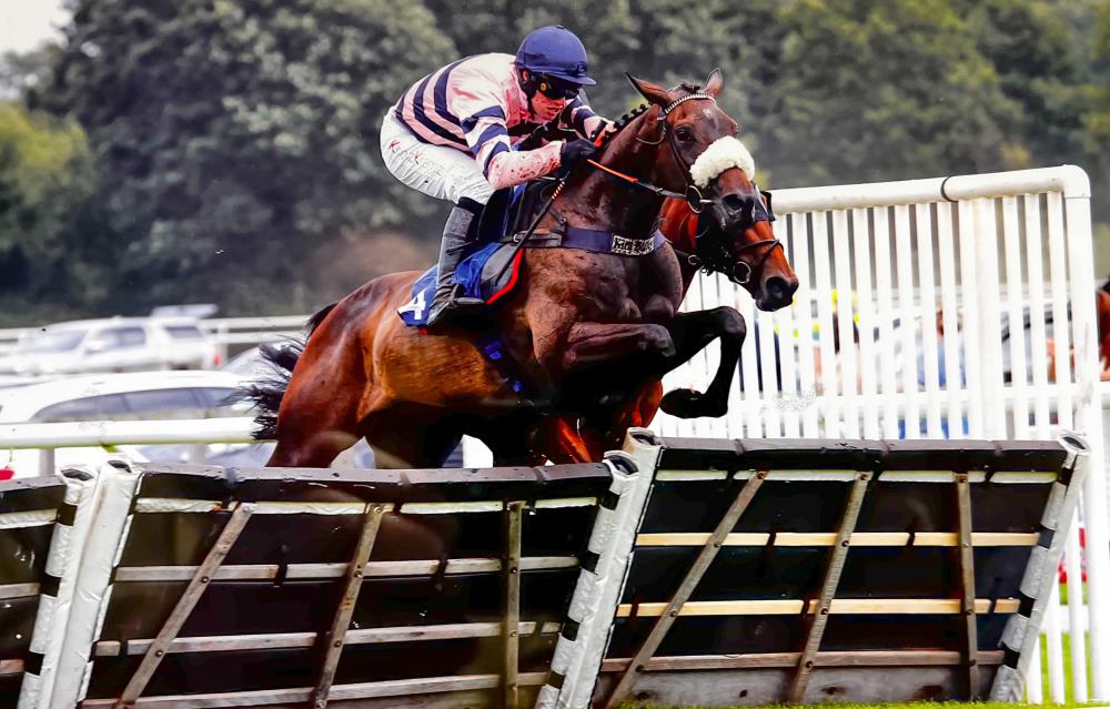 Lady Gwen jumping the last.. Photo from Steve Davies