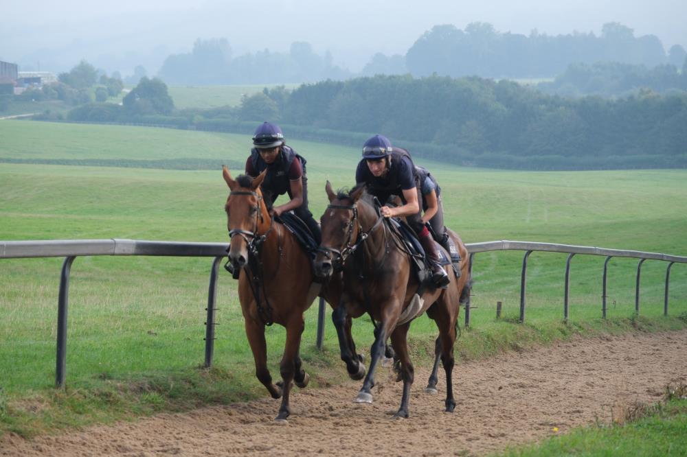 Isel Of Gold and The Jack Hobbs gelding
