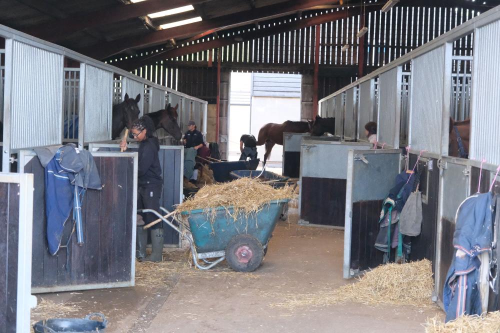 Evening stables in the top barn
