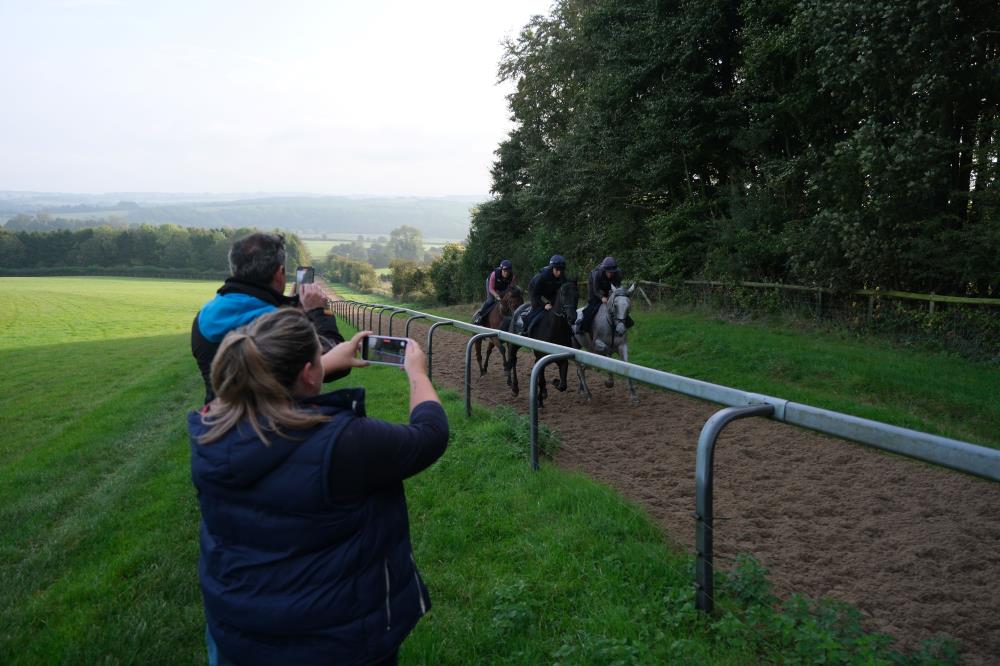 Videoing your morning on the gallops
