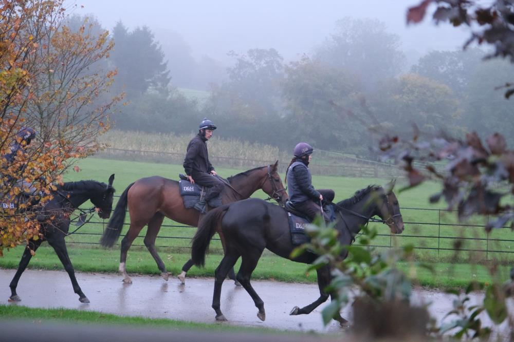 Salt Rock and El Rio heading to the gallops