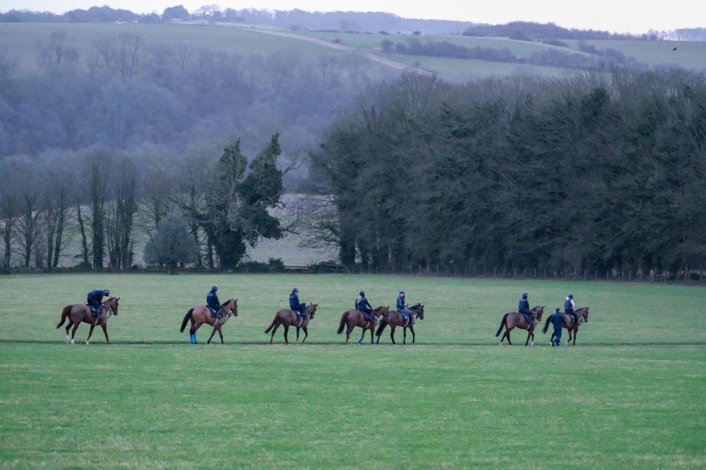 Some of the string heading to the round gallop
