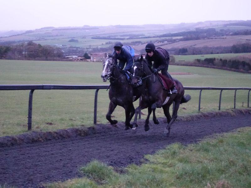 Dueling Banjos and Net Work Rouge first lot