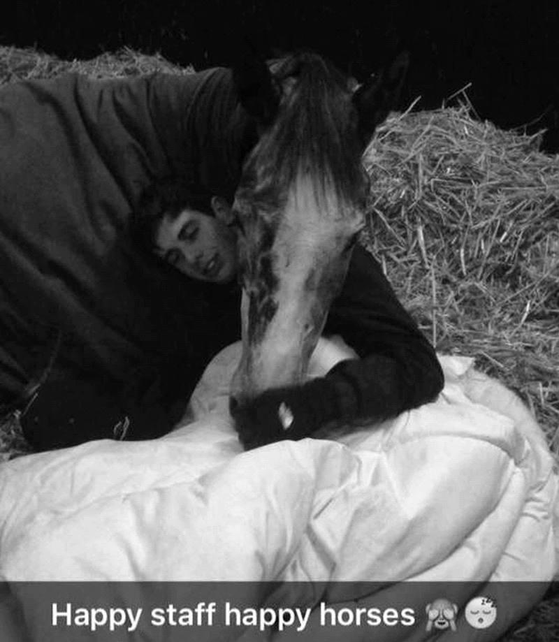It was cold last night so Joey Morris tucked up with Sunbazer to keep them both warm. Joey rode Sunblazer to win at Kempton.