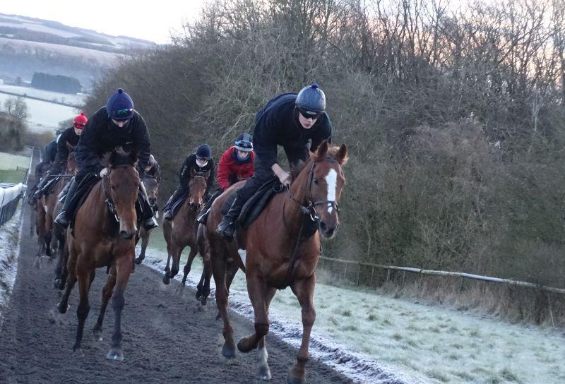 Emily Gray and Twelve Roses leading the string first lot