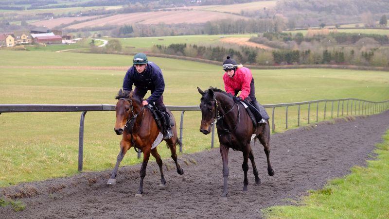 Jupiters Gift and Widow On The Run