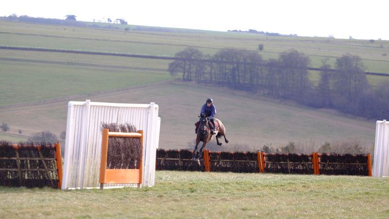 Monkhouse jumping