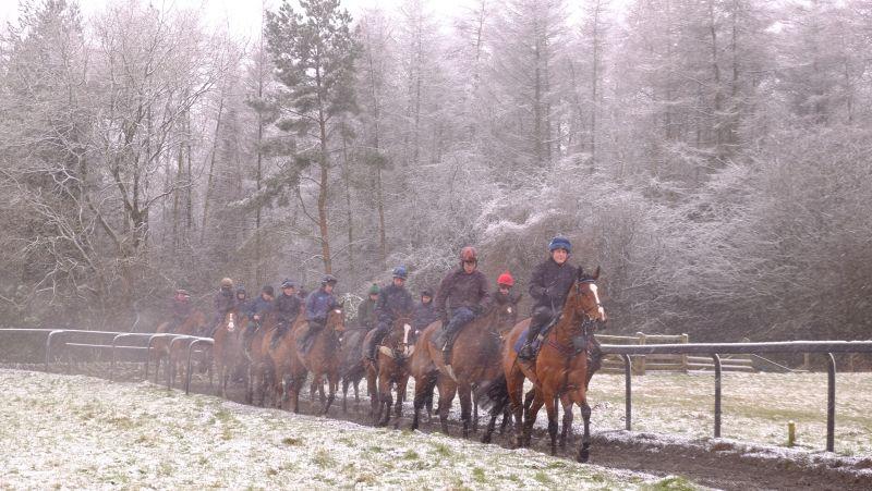 Walking back down the gallop after working