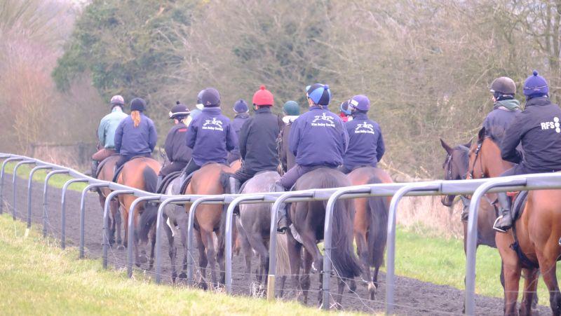 Walking down the gallop.. different jackets
