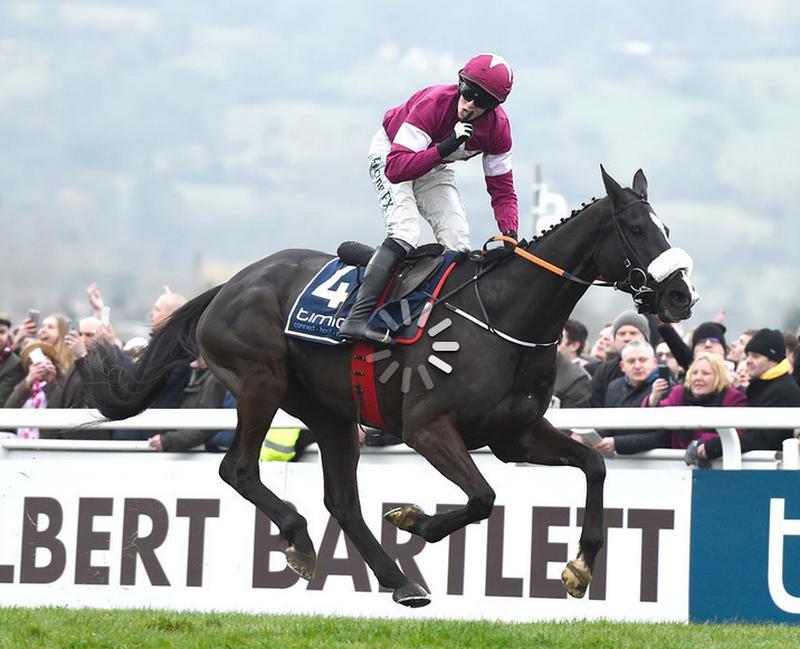 Don Cossack pasing the Gold Cp winning post..