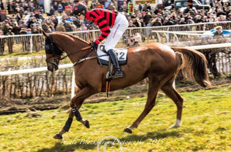Max Comely and Troubble Digger who were second in a point to point yesterday