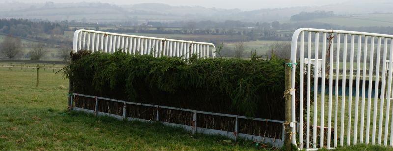 Higgs's Aintree fence