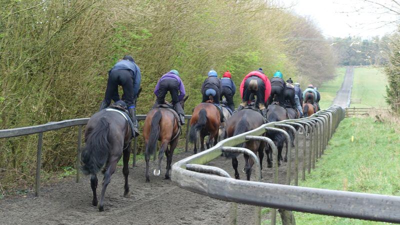 Up the gallop they go