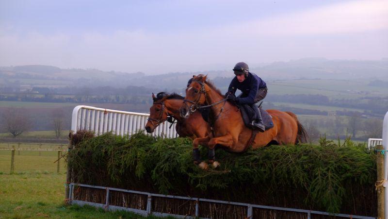 The Last Samuri jumping our home mmade Grand National fence