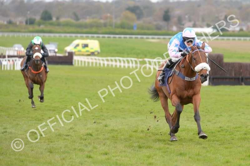 Champagne To Go wins the bumper well