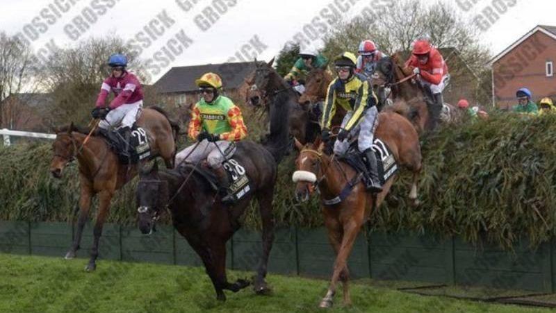 The Last Samuri in this year's Grand National