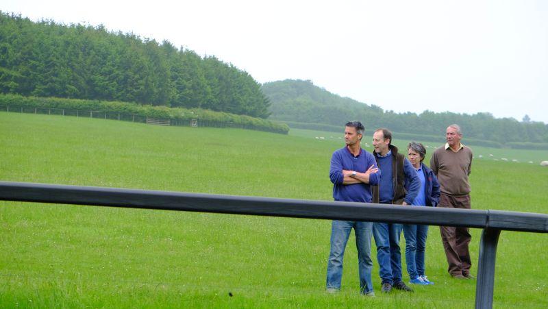 Michael, Peter, Katherine and David watching the horses working