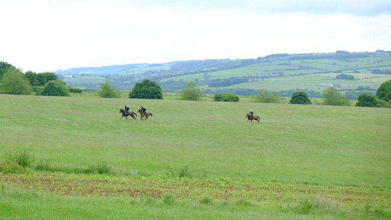 Cantering in the distance