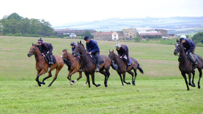 Cantering  up our grass gallops