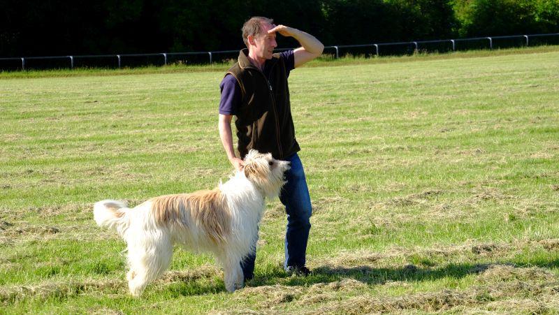 Peter doing dog duties.. Bear like to chase the horses..