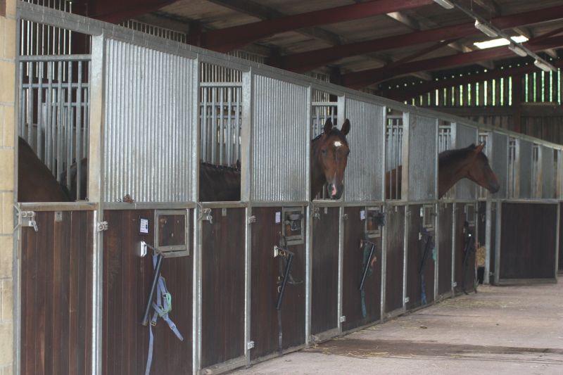 Horses back in their stables
