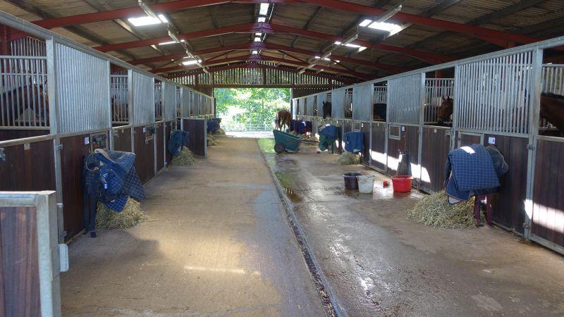 The barn during stables last night. Mat and I go round and feel every horses legs and have a good look at them