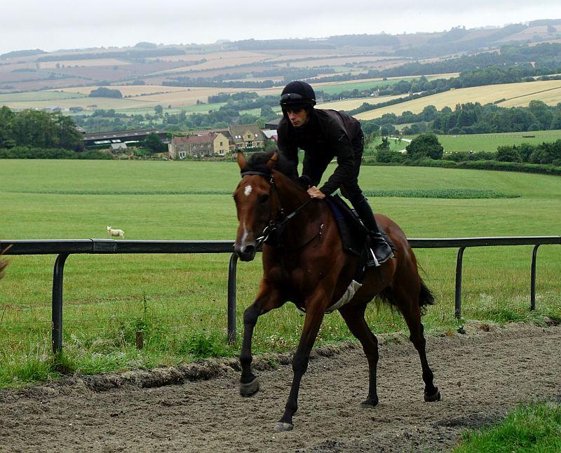 2nd August 2016 Blog