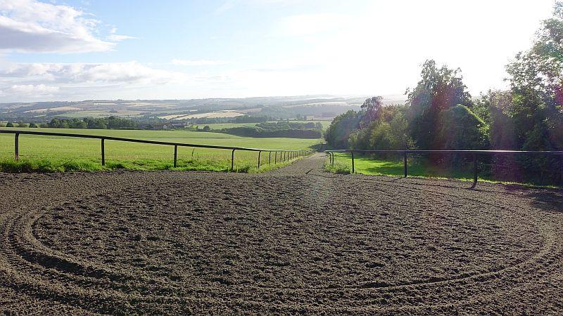 The view from the top of the gallop first lot