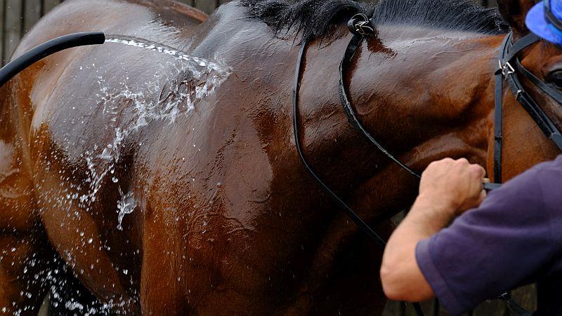 Gaelic Myth being washed aff after second lot