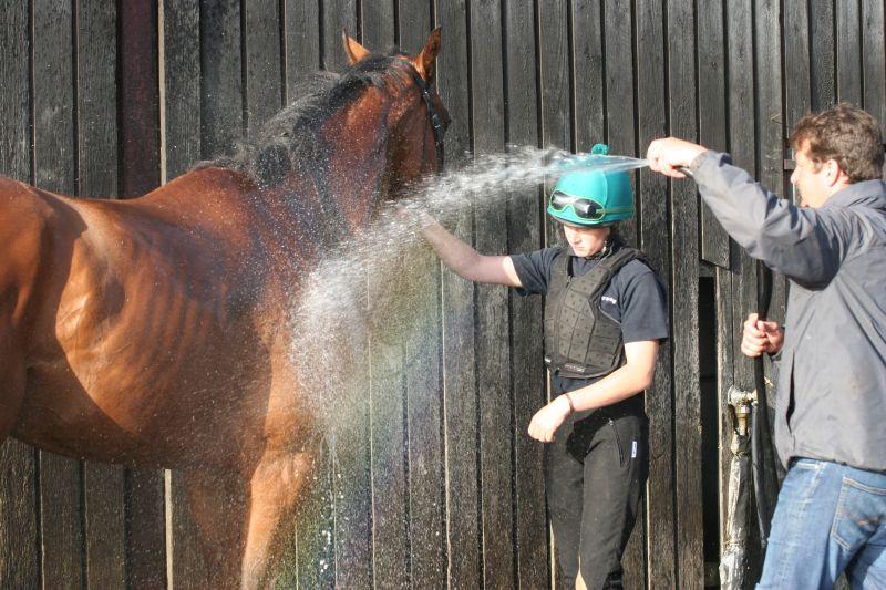 Tyler having her horse washed off by Mat