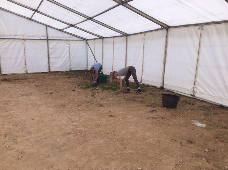 Weeding inside the tent.. 