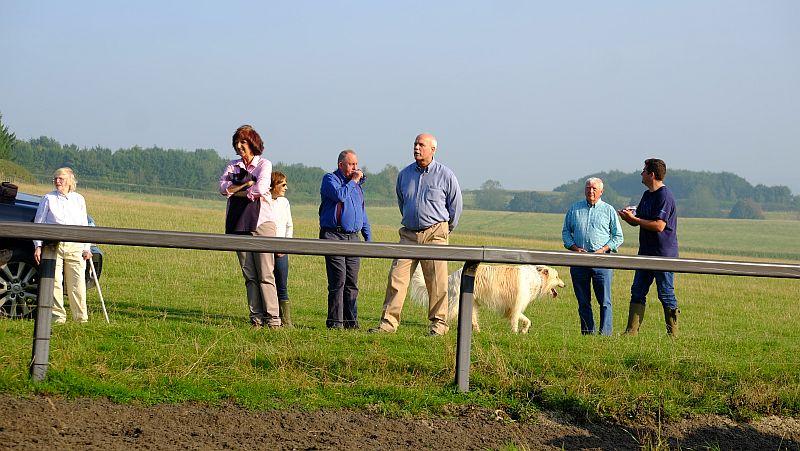 Watching the horses come back down the gallops