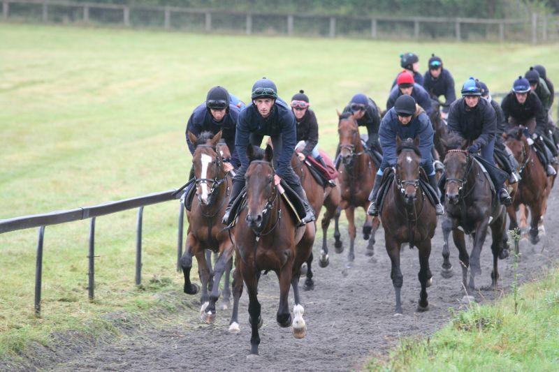 Harry Topper leading the string