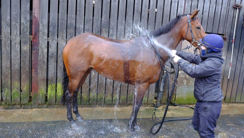 Aunty Ann having a wash down after first lot