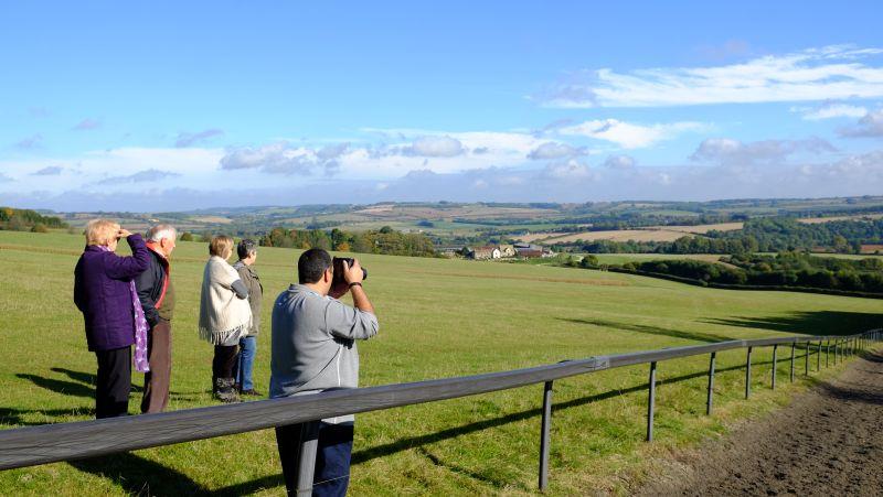 Taking photos of the horses or view?