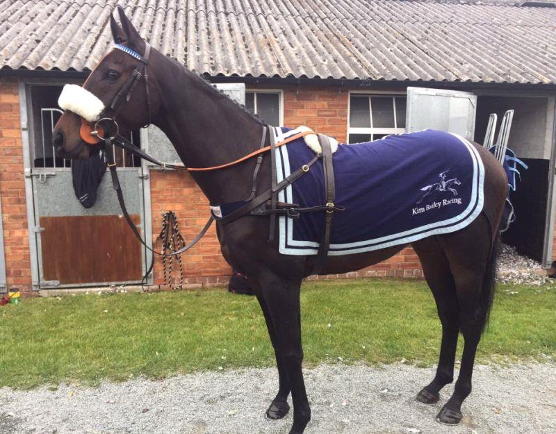 Robin The Raven all ready in the stables before heading onto the racecourse to meet his owners.
