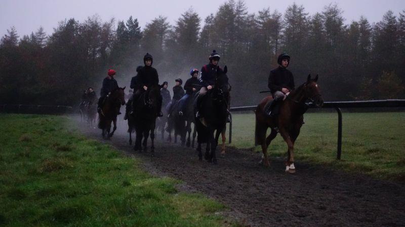 Coming back down the gallop after working first lot.. Dark