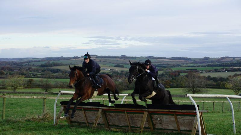 Champion Chase and My Cousin Rachel