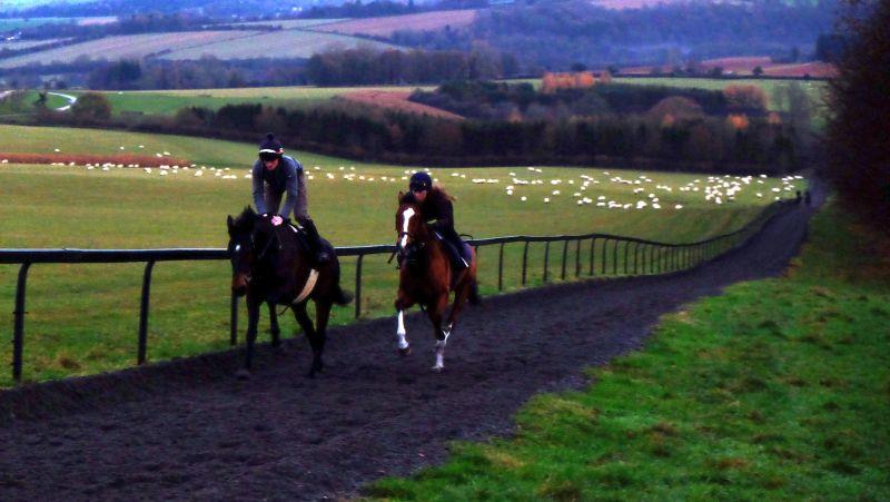 Minella Warrior and Abbreviate early this morning