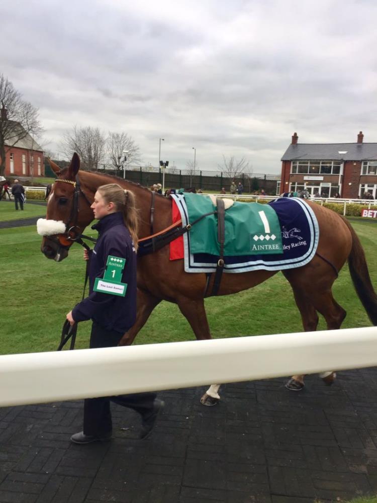 The Last Samuri in the paddock at Aintree