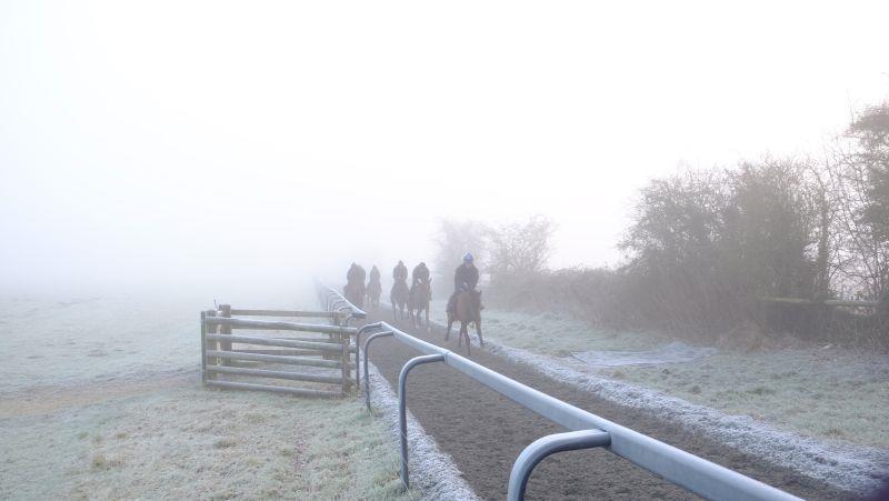 Foggy at the bottom of the gallop..