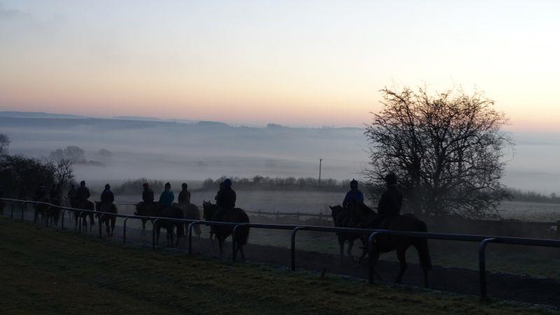 Heading down the gallops